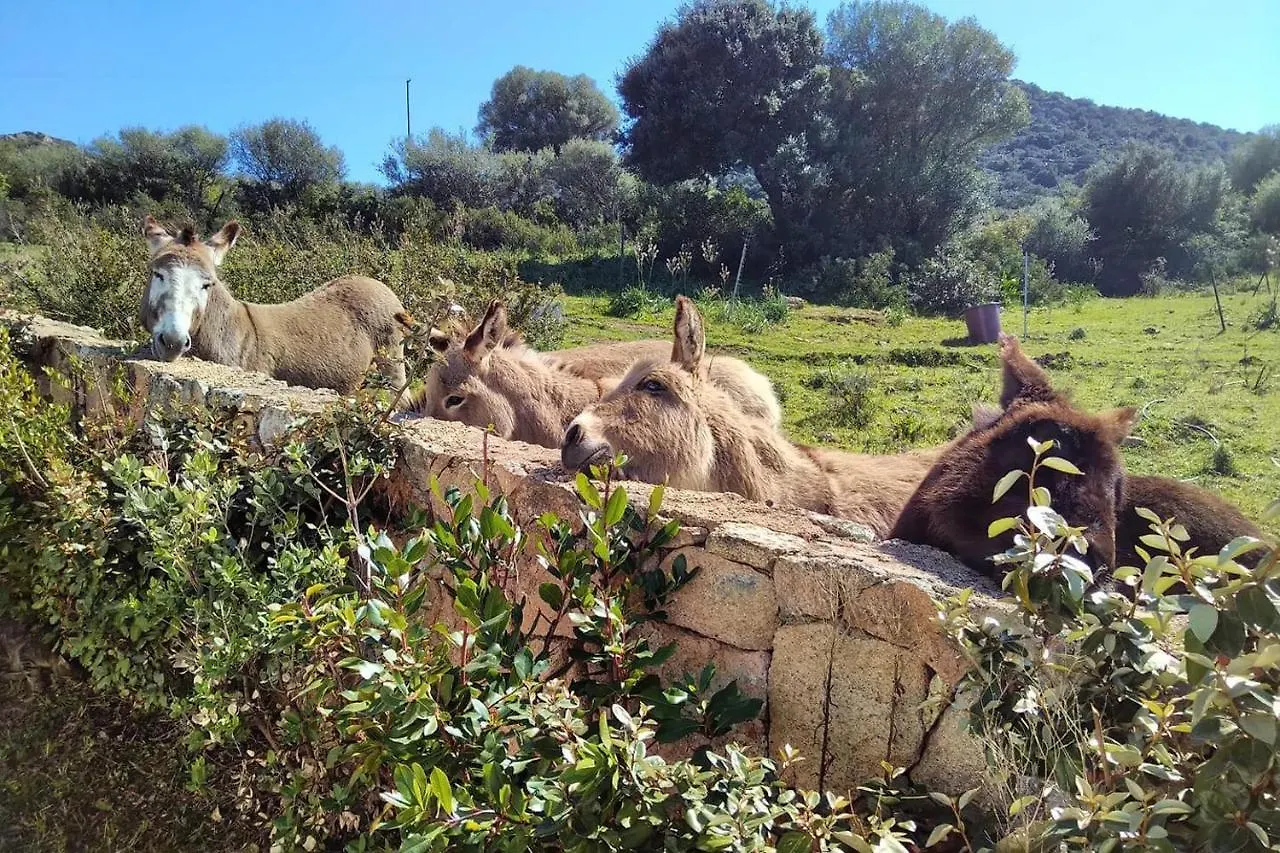 Country House Holiday - Olbia Villa 0*,  İtalya